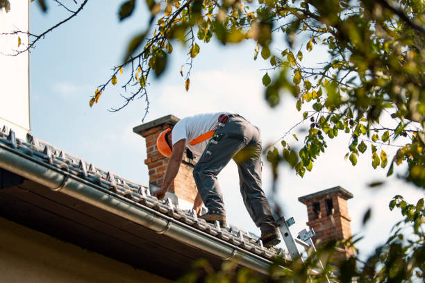 Best Flat Roof Repair Services  in Cheverly, MD